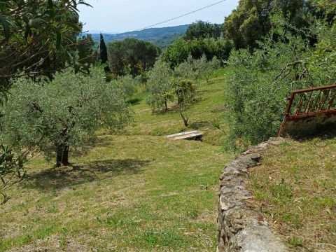 Poggio D'Arco, Rosignano Marittimo, LI, Italia - Livorno