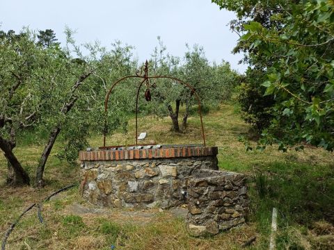 Poggio D'Arco, Rosignano Marittimo, LI, Italia - Livorno