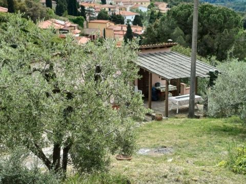 Poggio D'Arco, Rosignano Marittimo, LI, Italia - Livorno