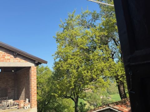 Strada della Cornia - Tizzano Val Parma