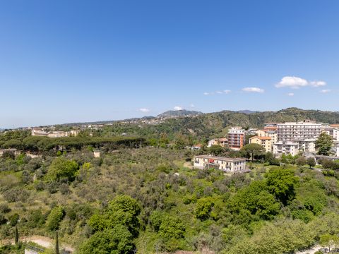 Via Madonna dei Cieli, 45 - Catanzaro