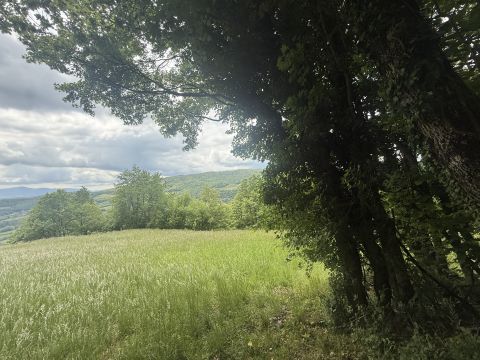 Via Piave - Borgo Val Di Taro
