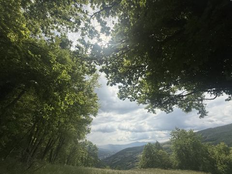 Via Piave - Borgo Val Di Taro