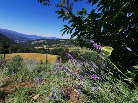Via Piave - Borgo Val Di Taro