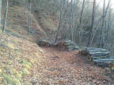 Via Piave - Borgo Val Di Taro
