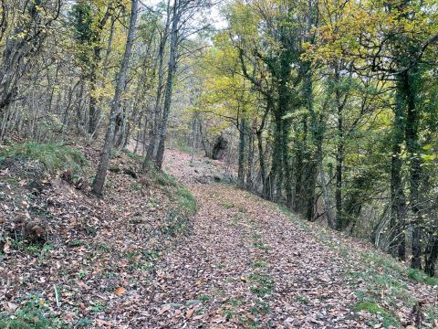 Via Piave - Borgo Val Di Taro