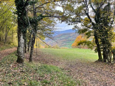 Via Piave - Borgo Val Di Taro