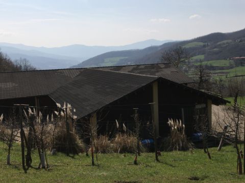 Via Piave - Borgo Val Di Taro