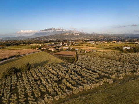 Via Alessandro Manzoni snc - Altavilla Silentina