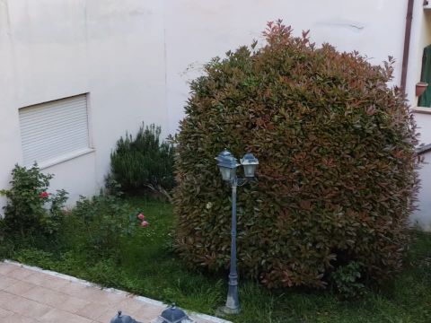 Via della Pineta, 22 - Fiuggi
