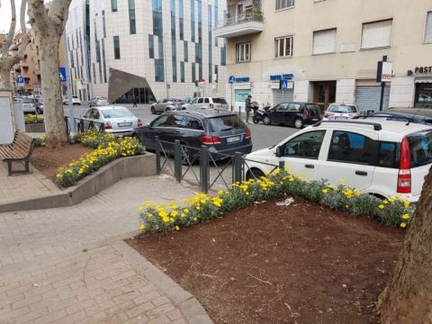 Via Ignazio Giorgi - Roma