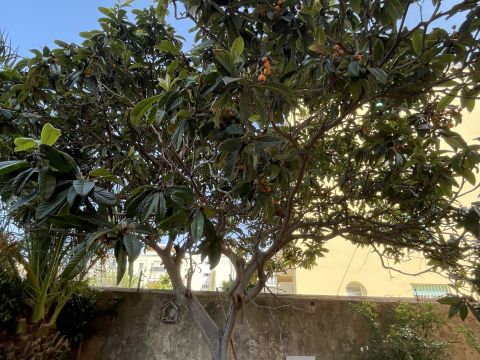Via Brigata Garibaldi, 12 - Livorno