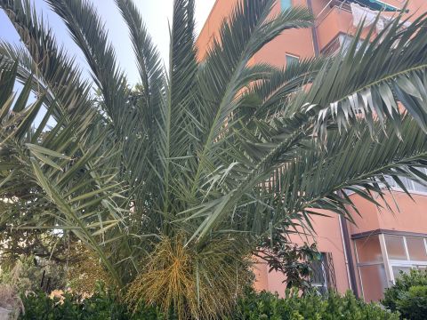 Via Brigata Garibaldi, 12 - Livorno
