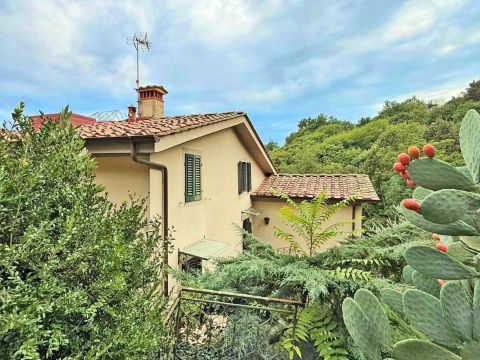 Via Sismondi - Pescia