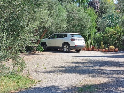 Strada Provinciale Bolgherese - Castagneto Carducci