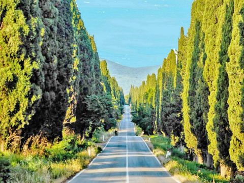 Strada Provinciale Bolgherese - Castagneto Carducci