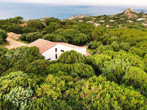 Strada Castelsardo-Santa Teresa Gallura - Aglientu