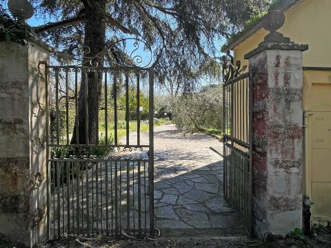 Via La Marca - Crespina Lorenzana