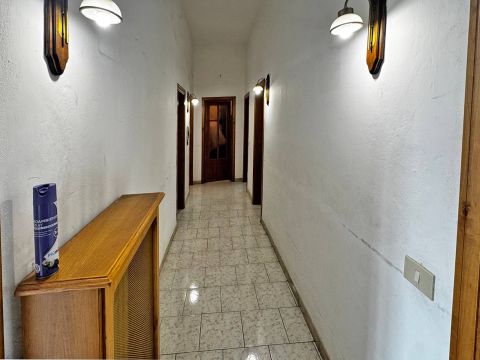 Via Dante Alighieri - Cecina