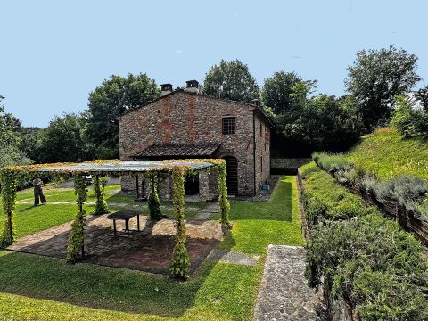 Via di Petrognano - Capannori