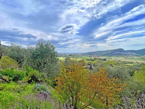 SS12 - San Giuliano Terme