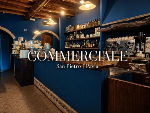 Via San Pietro in Verzolo, 19 - Pavia