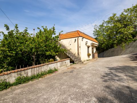 Via per Gimigliano, 251 - Catanzaro