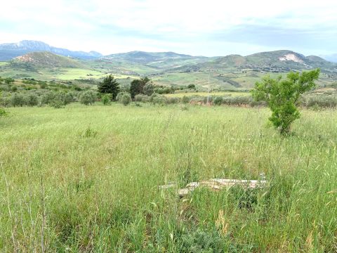 Contrada Scarpa - Villafrati