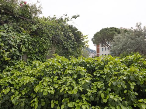 Via Santa Maria Assunta di Nervi - Genova