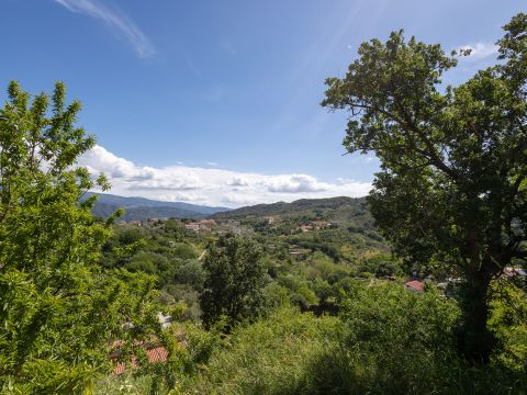Via Benedetto Croce, 23 - Catanzaro