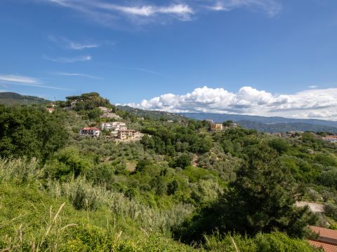 Via Benedetto Croce, 23 - Catanzaro