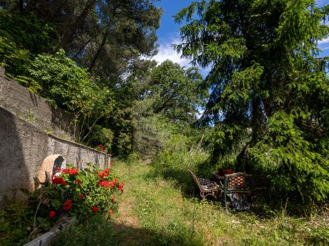 Via Benedetto Croce, 23 - Catanzaro