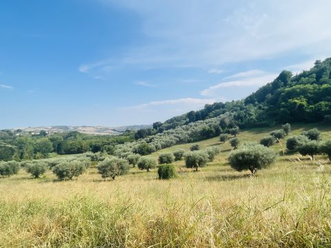 Via Sotto il Loco - Sant'omero