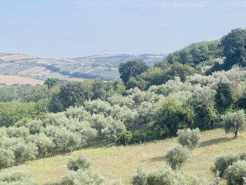 Via Sotto il Loco - Sant'omero