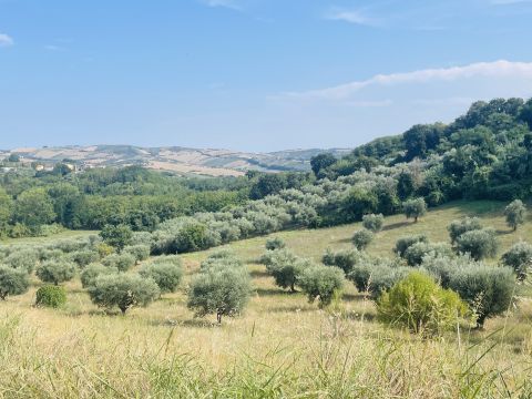 Via Sotto il Loco - Sant'omero