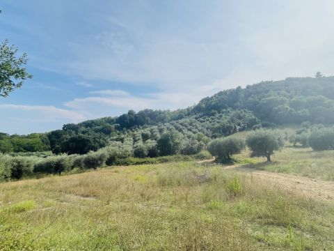 Via Sotto il Loco - Sant'omero