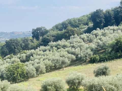 Via Sotto il Loco - Sant'omero