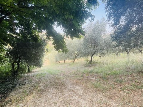 Via Sotto il Loco - Sant'omero