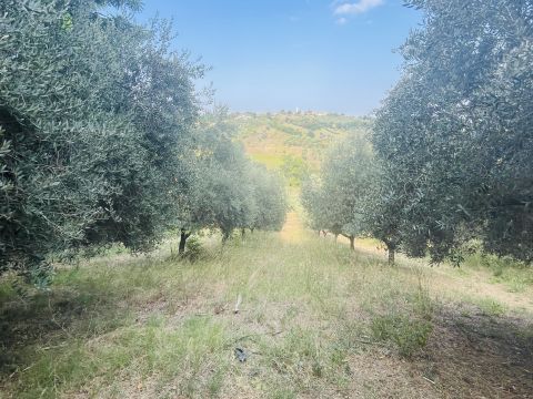 Via Sotto il Loco - Sant'omero
