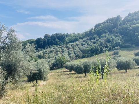 Via Sotto il Loco - Sant'omero
