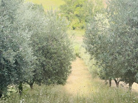 Via Sotto il Loco - Sant'omero