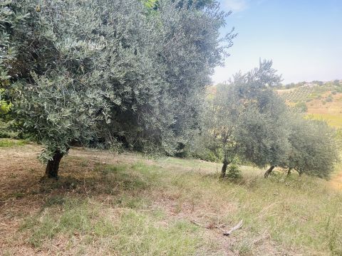 Via Sotto il Loco - Sant'omero