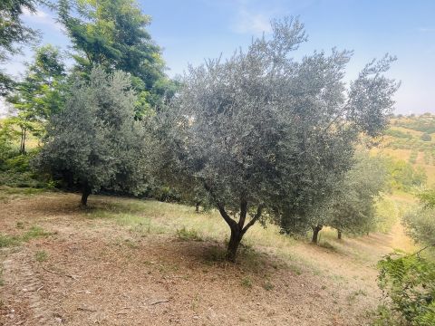Via Sotto il Loco - Sant'omero