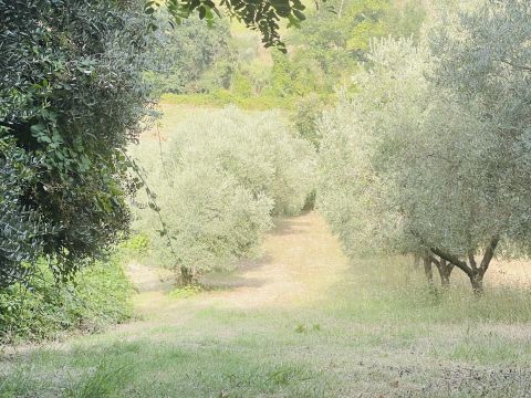 Via Sotto il Loco - Sant'omero