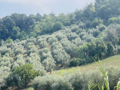 Via Sotto il Loco - Sant'omero