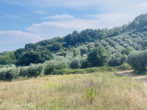Via Sotto il Loco - Sant'omero
