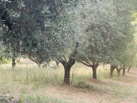 Via Sotto il Loco - Sant'omero