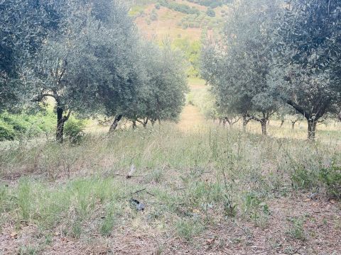 Via Sotto il Loco - Sant'omero