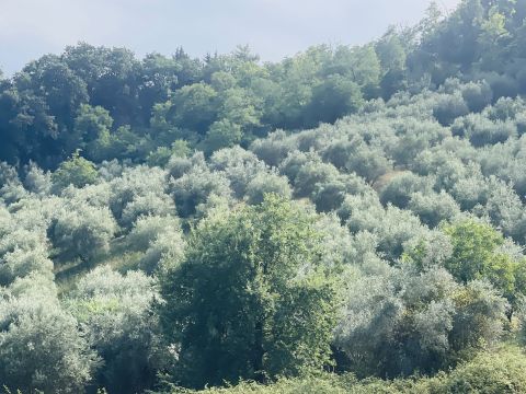 Via Sotto il Loco - Sant'omero