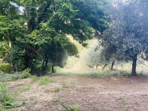 Via Sotto il Loco - Sant'omero